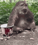 a monkey sits next to a cup that says kfc on it