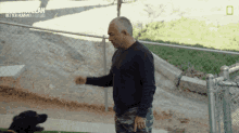 Obey My Command Cesar Millan GIF - Obey My Command Cesar Millan Cesar Millan Better Human Better Dog GIFs