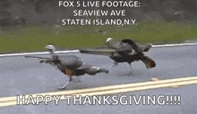 Happy Thankgiving GIF - Happy Thankgiving Funny GIFs