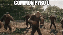 Commonpyrol GIF - Commonpyrol GIFs
