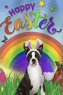 Boston Terrier Happy Easter2023 GIF - Boston Terrier Happy Easter2023 GIFs