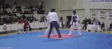Taekwondo Knock Out GIF - Taekwondo Knock Out Michael Bay GIFs