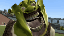 Shrek Likes You GIF
