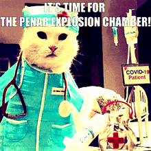 a cat dressed up as a doctor with the caption " it 's time for the penar explosion chamber "