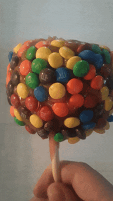 a person is holding a lollipop covered in m & ms