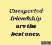 unexpected friendships are the best ones text animated text best