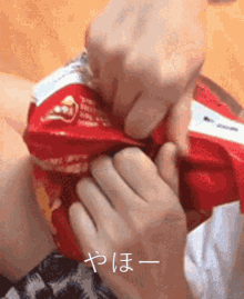 Cat Chips And Salsa GIF - Cat Chips And Salsa ねこ GIFs
