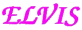 a pink elvis logo on a white background