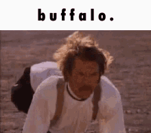 Buffalo GIF - Buffalo GIFs