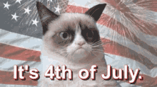 4th Of July Fourth Of July GIF - 4th Of July Fourth Of July July4th GIFs