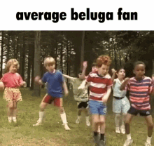 Average Beluga Fan GIF - Average Beluga Fan GIFs