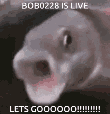 Bobe Bob0228 GIF - Bobe Bob0228 Bobe0228 GIFs