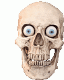 a close up of a skull with blue eyes and teeth