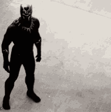 Black Panther Run GIF - Black Panther Run Civil War GIFs