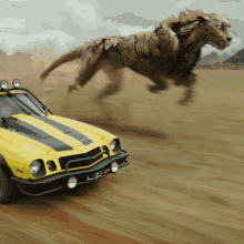 Race Cheetor GIF - Race Cheetor Transformers GIFs