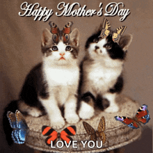 happy mothers day mums day moms day mothers day kittens mothers day butterflies