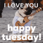 Pug Happy Tuesday GIF - Pug Happy Tuesday Tuesday GIFs