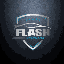 flash3d logo
