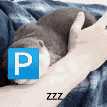 otter sleep pushin p
