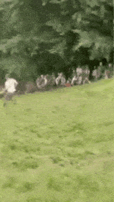 a group of people are sitting on the grass in a park while a man is running through the grass .