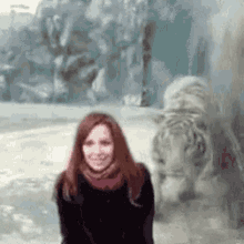 Scary Tiger GIF
