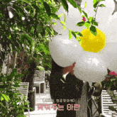 a person is holding a bunch of white balloons with a yellow center in front of trees