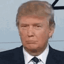 Trump Really GIF - Trump Really Amazed GIFs