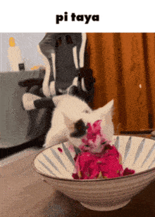 a cat is sitting in a bowl of food with pi taya written on the bottom