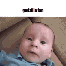 Godzilla Fan Kong Fan GIF