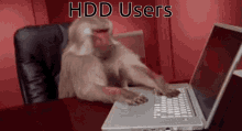 Hdd Users Monkey GIF