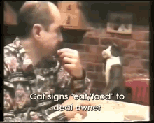 Kitty "Taps" Deaf Owner And Signs "Eat/Food" For Noms GIF - Cat Signing Asl GIFs