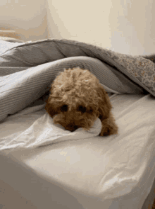 Tired Nap GIF - Tired Nap Cuddle GIFs