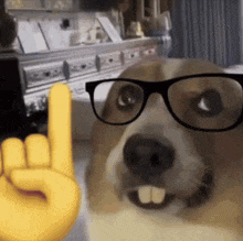 a dog wearing glasses is making a horns up sign