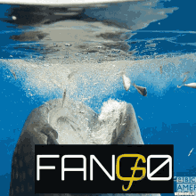 Fango Whale GIF - Fango Whale Xfg GIFs