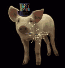 Happy New Year Pig GIF - Happy New Year Pig Fireworks GIFs