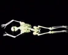 a glow in the dark skeleton laying on its side
