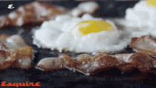 Bacon Egg GIF