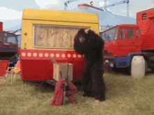 bassie gorilla vermomming disguise verkleden