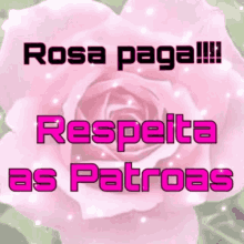 Rosa Paga Betano GIF