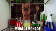 Scooby Doo Mmm Lemonade GIF - Scooby Doo Mmm Lemonade Lemonade GIFs