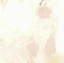 Vittoria Ceretti GIF