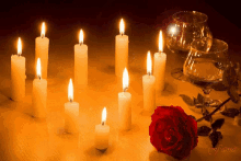 rose red rose flower candles flame