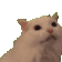 a pixel art of a cat with its mouth open and looking up .