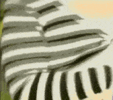 a close up of a zebra 's tail with black stripes