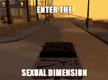 enter the sexual dimension glitchy gta vice city fly
