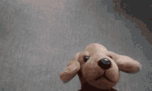 Im Out Of Here Dog GIF