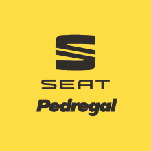 Seat Pedregal Pedregal GIF - Seat Pedregal Pedregal Cars GIFs