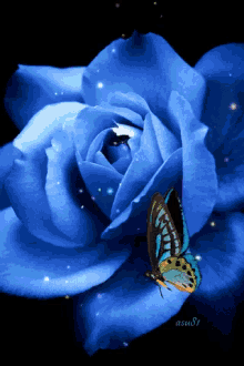 rose blue sparkle butterfly