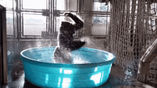 GIF