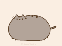 Pusheen Cat GIF - Pusheen Cat Kitty GIFs